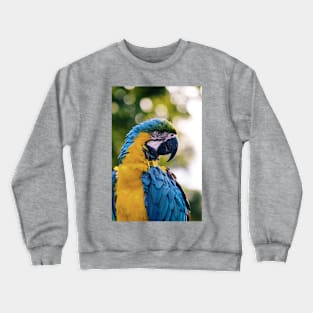 Wild life design Crewneck Sweatshirt